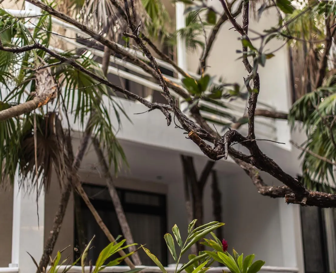 Casa Ambar Hotel & Boutique Tulum (Adults Only) 3*,