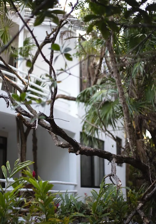 Casa Ambar Hotel & Boutique Tulum (Adults Only) 3*,  Mexico